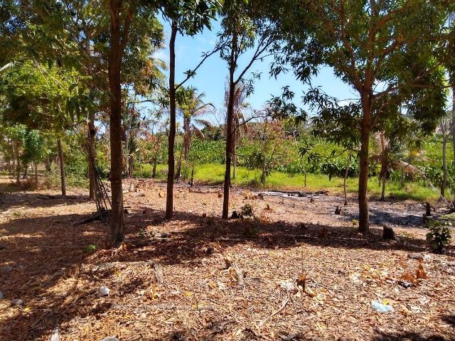 Lotes/Terrenos - Fragoso- Olinda - Foto 20