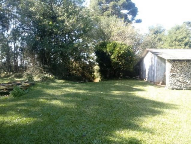 Chácara em campo magro - Foto 2