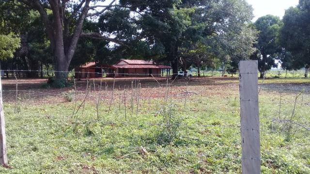 Fazenda de 138 alqs. na região de Dois Irmãos - Foto 11