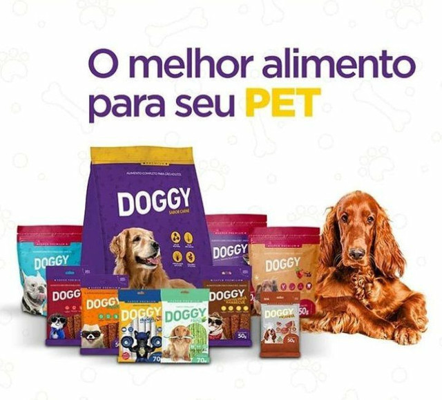 Seja Distribuidor Independente - Foto 6