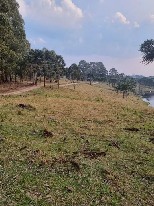Sítio Chácara 33 hectares São Joaquim - Foto 5