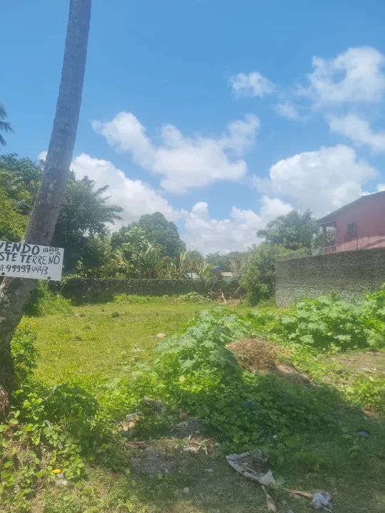 foto - Jaboatão dos Guararapes - Barra de Jangada