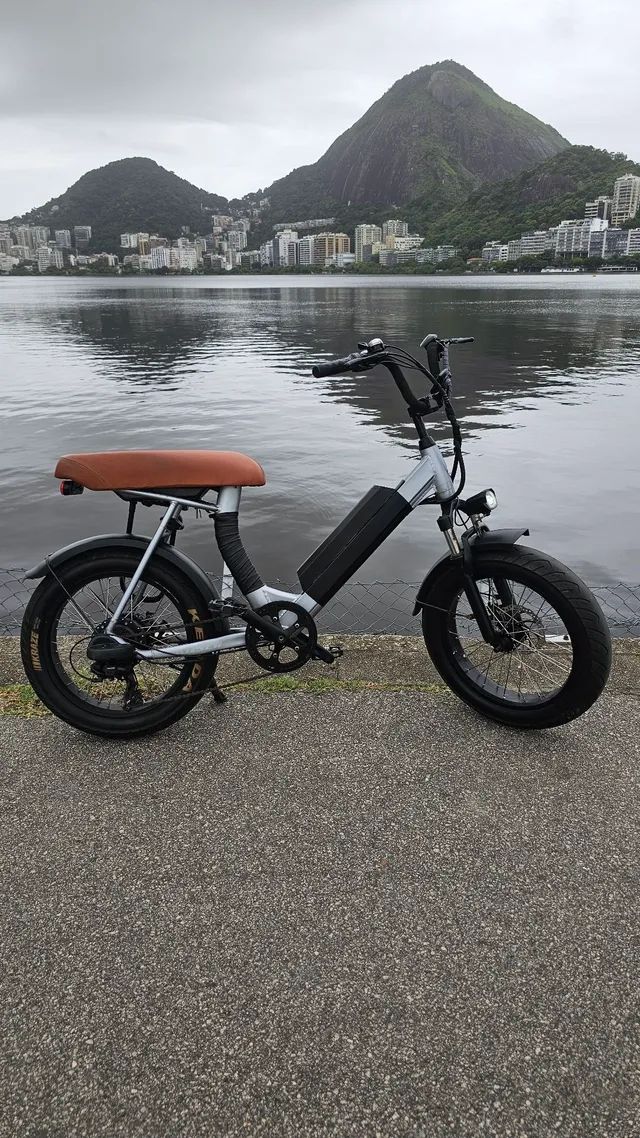 Ebike Lev Cruizer - Foto 2