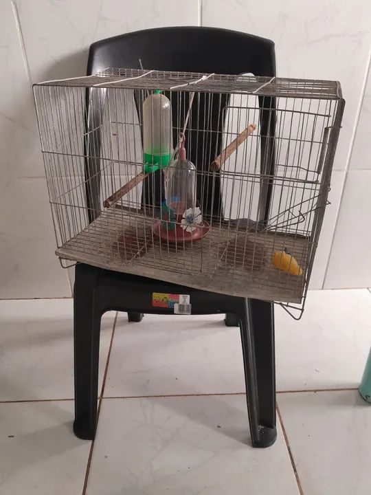 Gaiola para pássaros