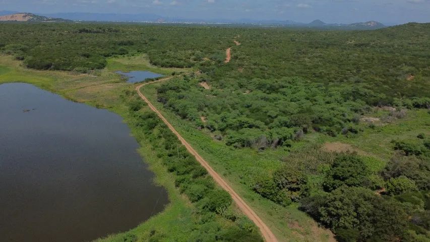 3 excelentes propriedades no Sertão da PB. - Foto 7