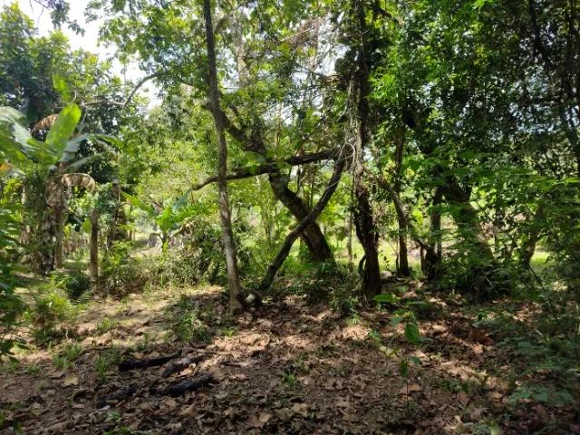 Chácara à venda em Igaratá, 2.000M² - Foto 9