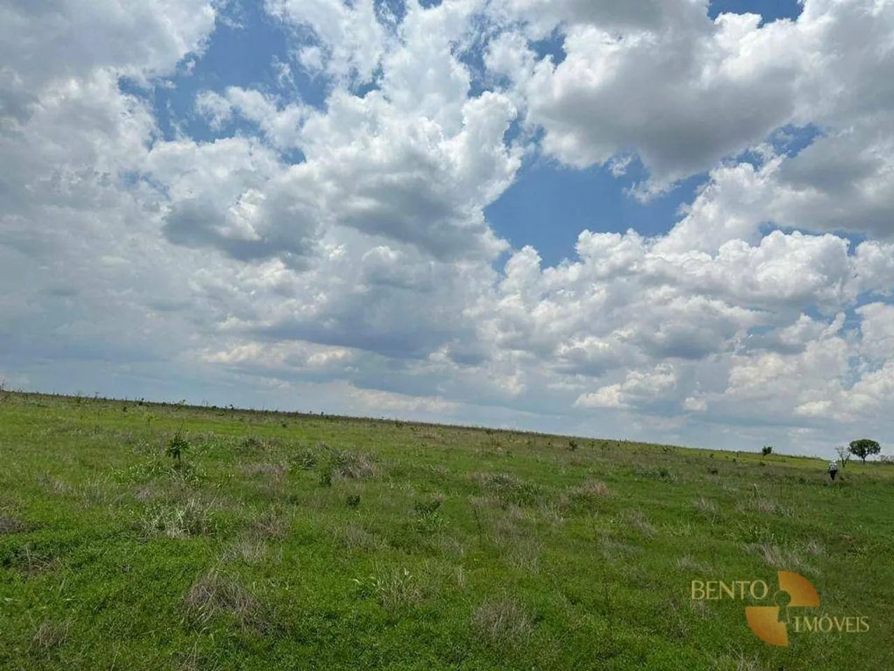 Fazenda à venda, 8090000 m² por R$ 36.549.500,00 - Zona Rural - Jaciara/MT - Foto 3