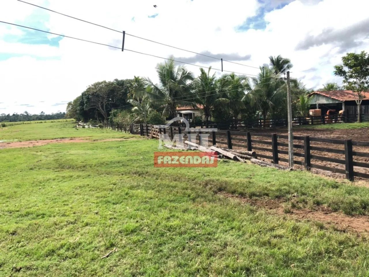 Fazenda 400 Alq. (1.936 Há) São Felix do Xingu  PA