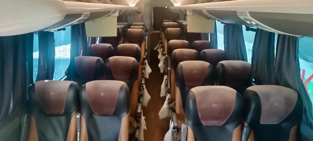 Micro WL Limousine com Wc - Turismo  - Foto 7