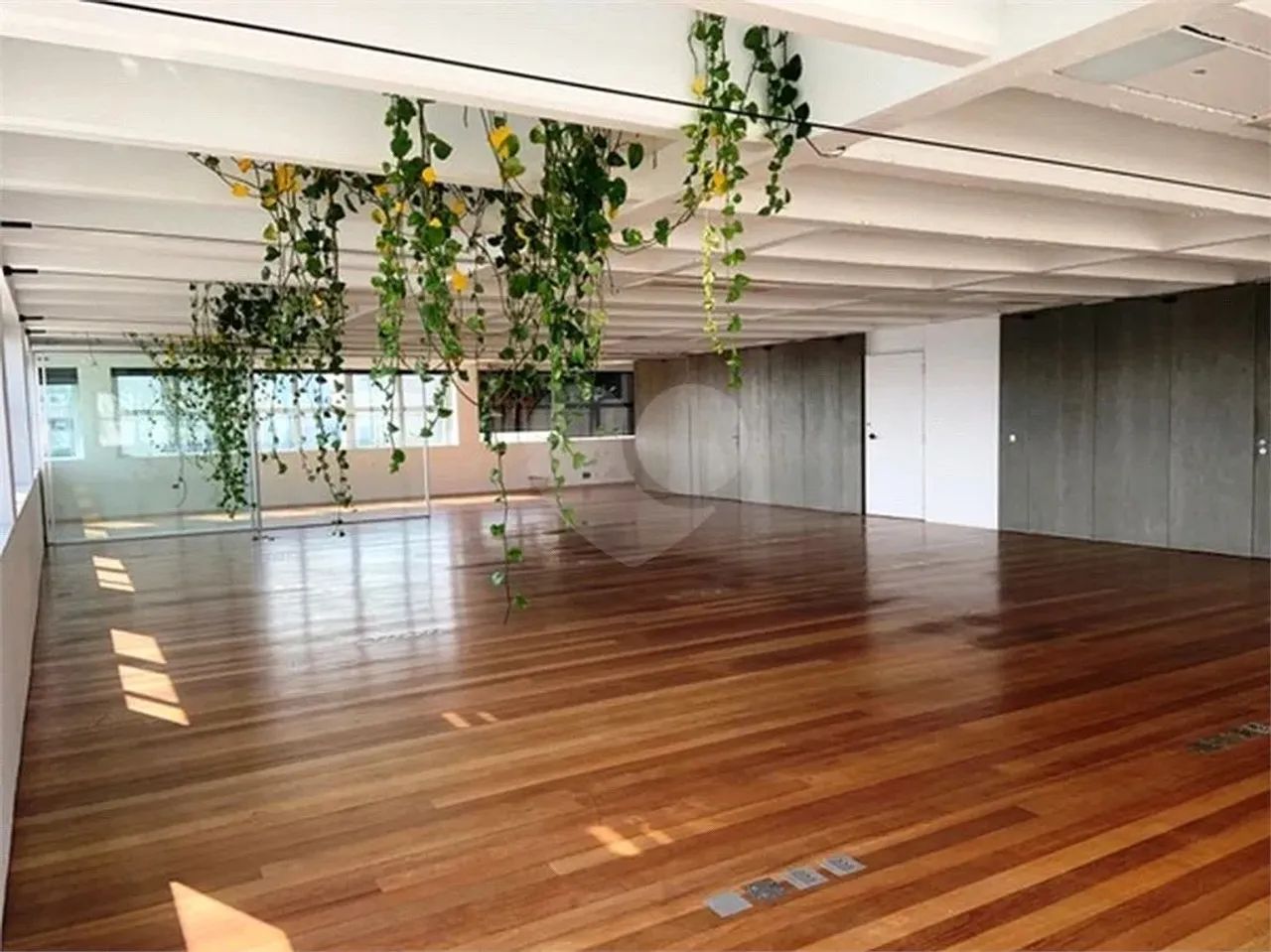 Salas à venda ou para locação em Jardim Paulistano - SP - Foto 2