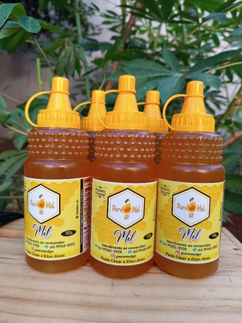 Mel Flor de Aroeira Bisnaga 500 G