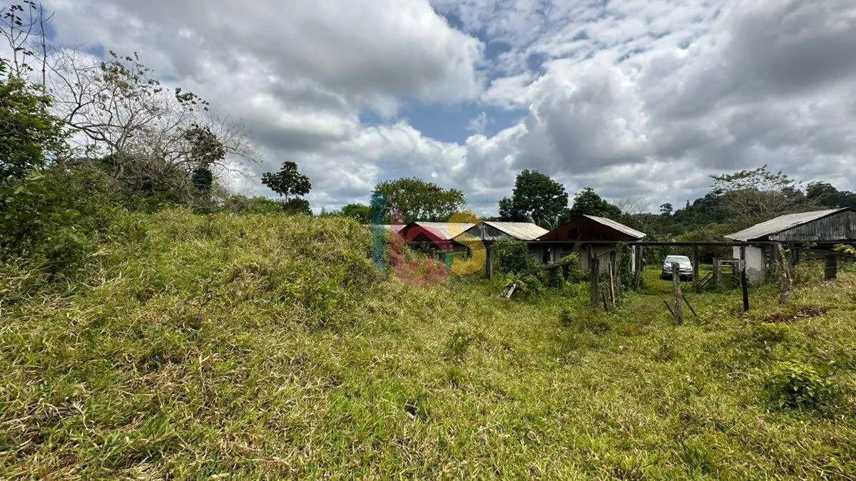 Vendo Fazenda em Ilhéus - Foto 3
