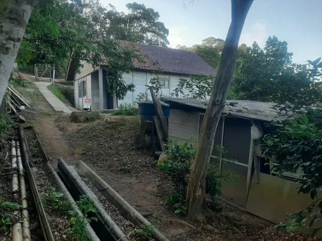 Foto - Biguaçu - Areias de Cima (Guaporanga)