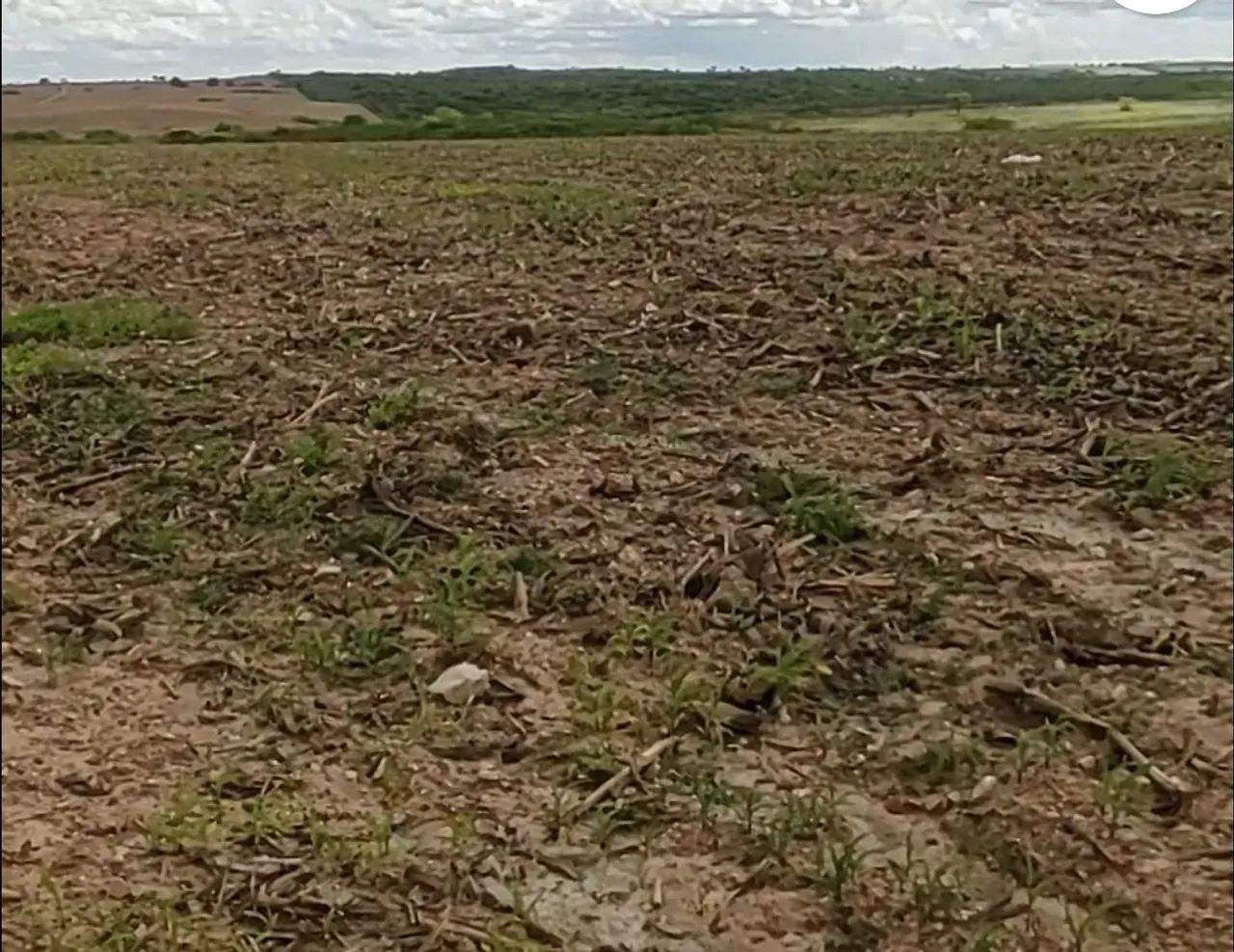 FAZENDA À VENDA (2.900 tarefas) - Foto 2