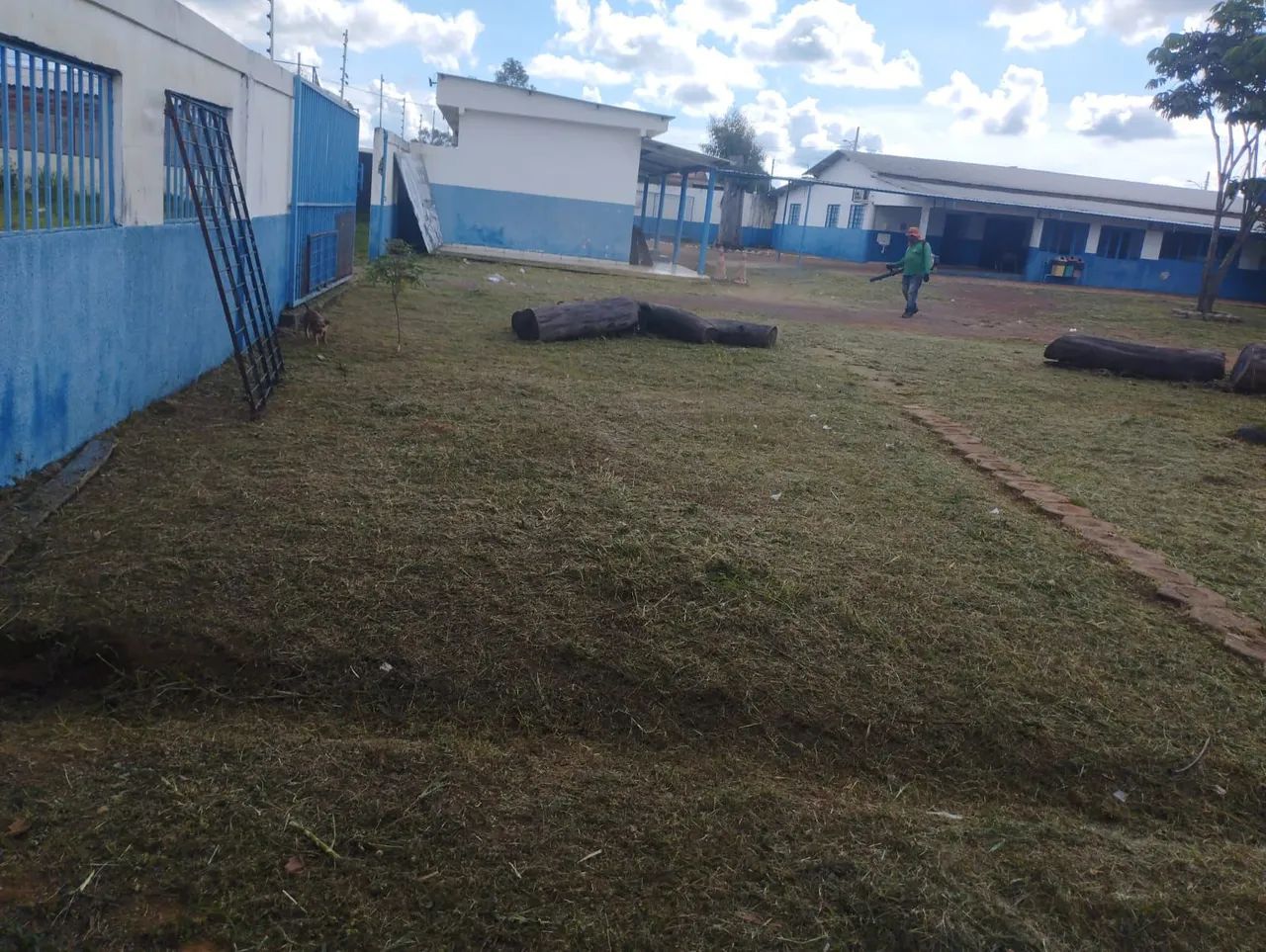 Serviços de jardinagem em geral - Foto 4