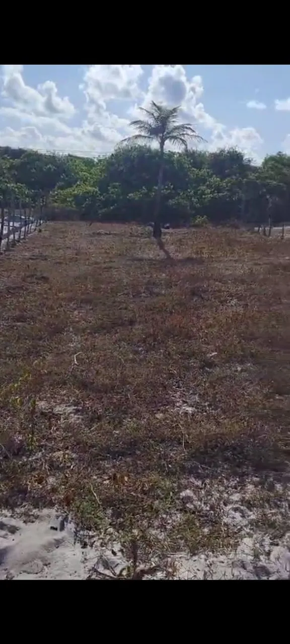 Vendo ou troco terreno na praia de Pititinga valor 30 mil só troco em Bugre ou Vitara