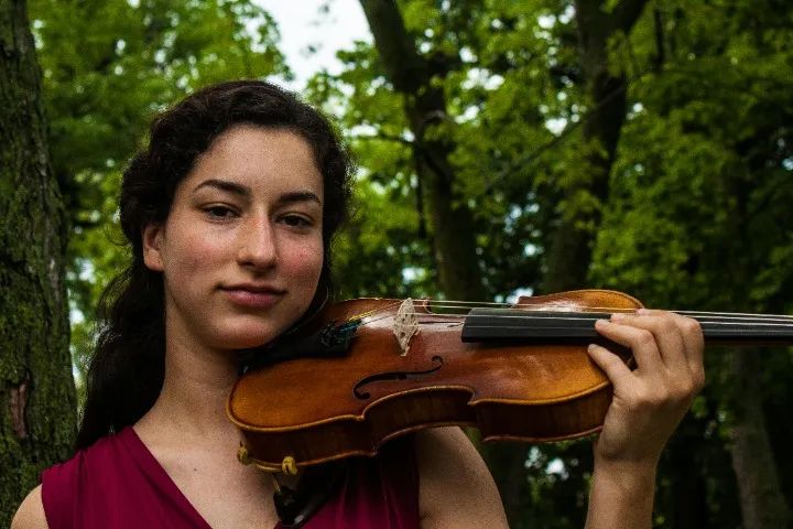 Curso de Violino e Viola Online sem mensalidade