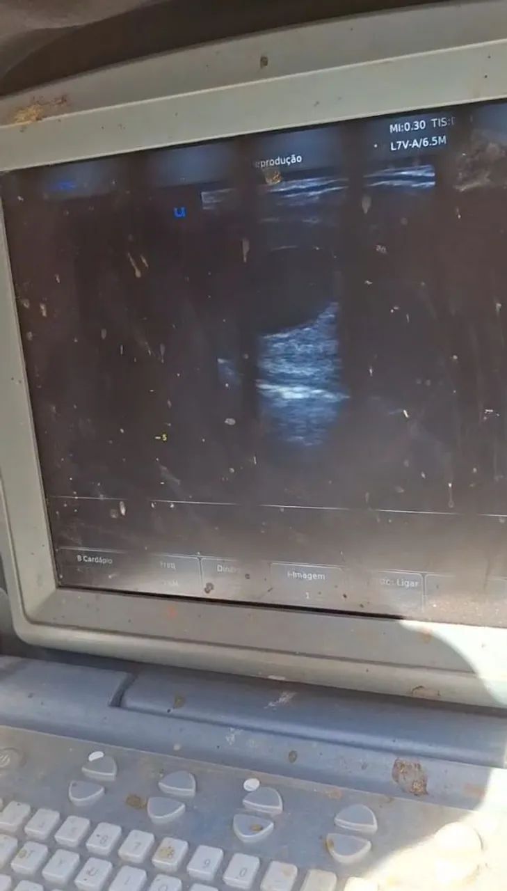 ÉGUA MARCHA PICADA (prenha de garanhão homozigoto) - Foto 5