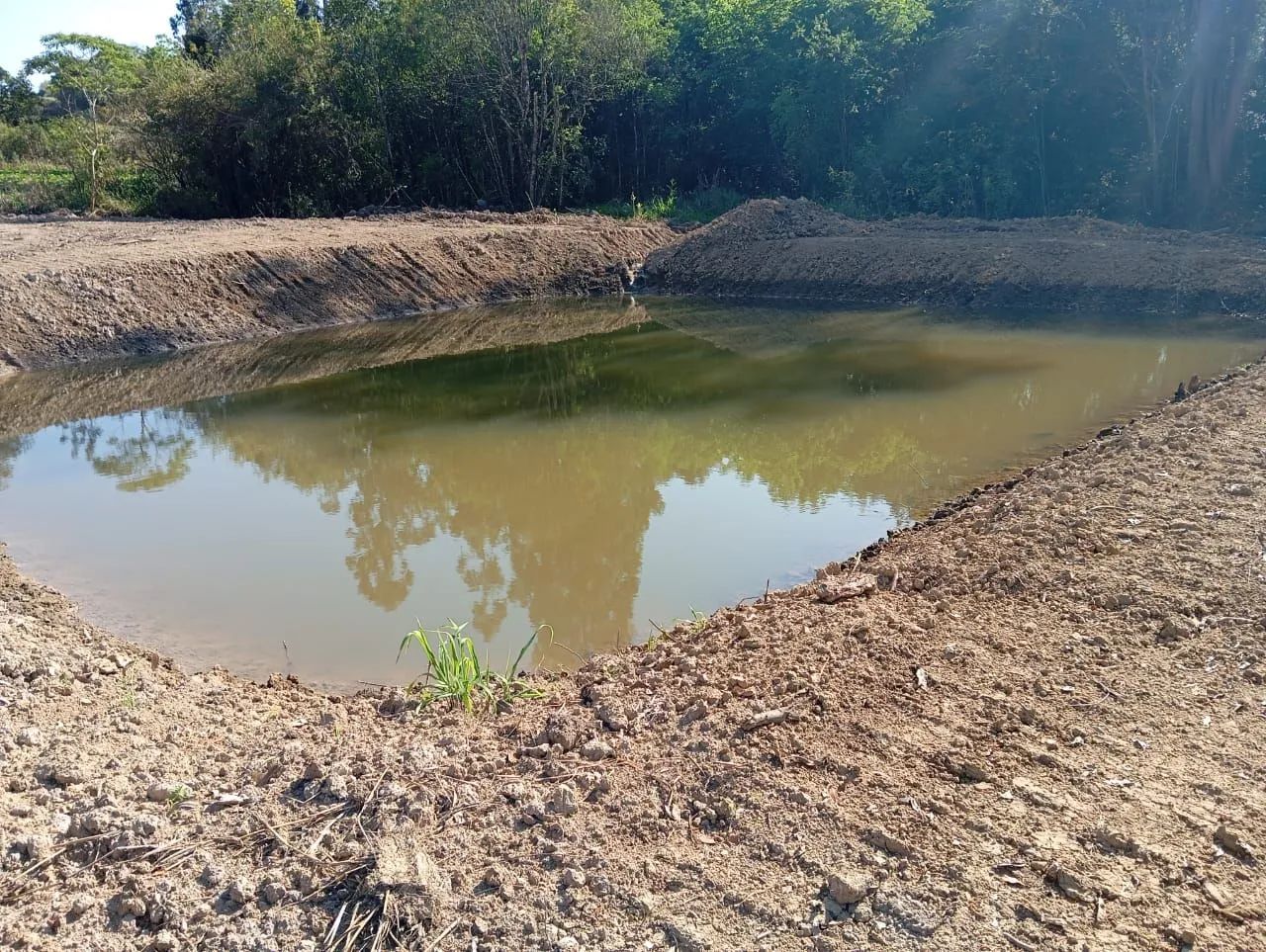 Chácara em São Pedro, 5 litros  - Foto 5