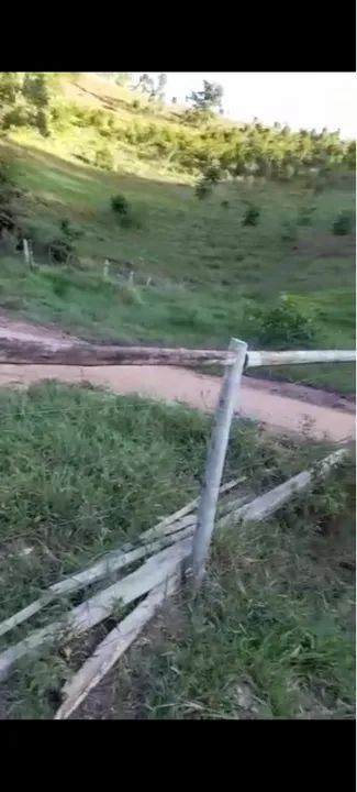 FAZENDA EM MINAS GERAIS, RICA EM AGUA E PASTOS - Foto 5