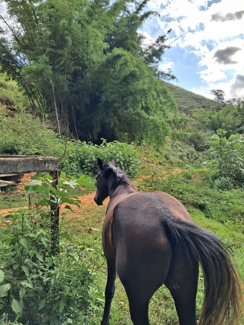 Poldo novo 3 anos vendo barato - Foto 3
