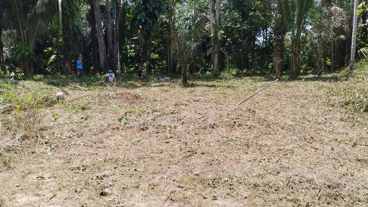 Terreno 40x42. Próximo área urbana.