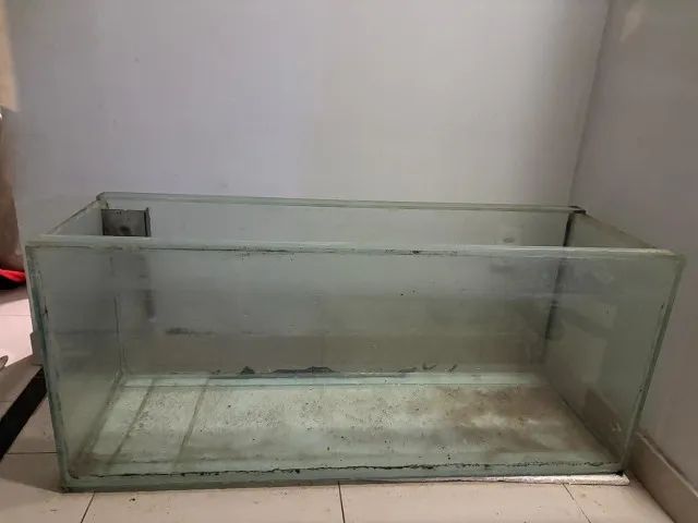 Aquário de Vidro - Foto 4
