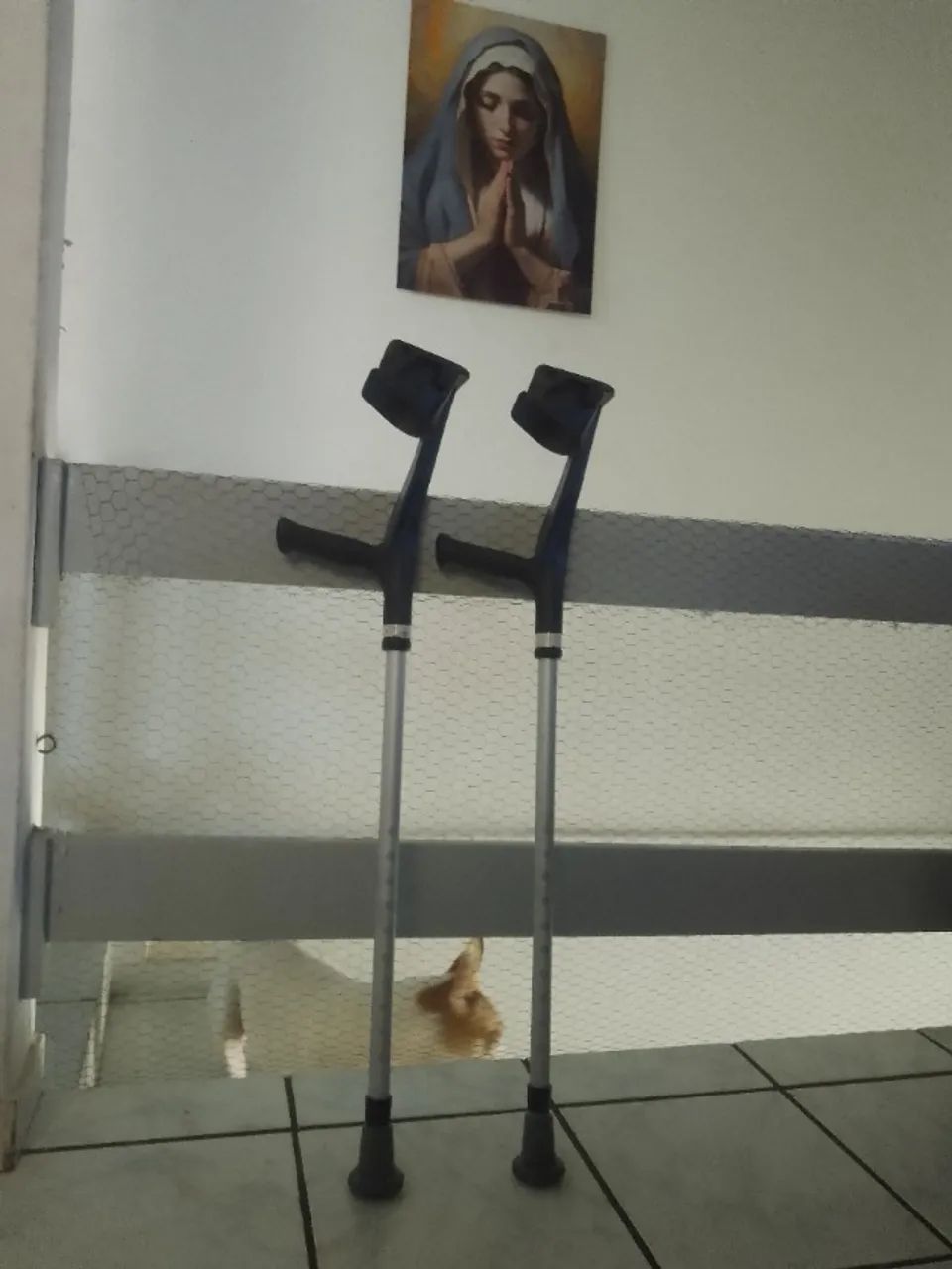 Vendo Par de Moletas  - Foto 2