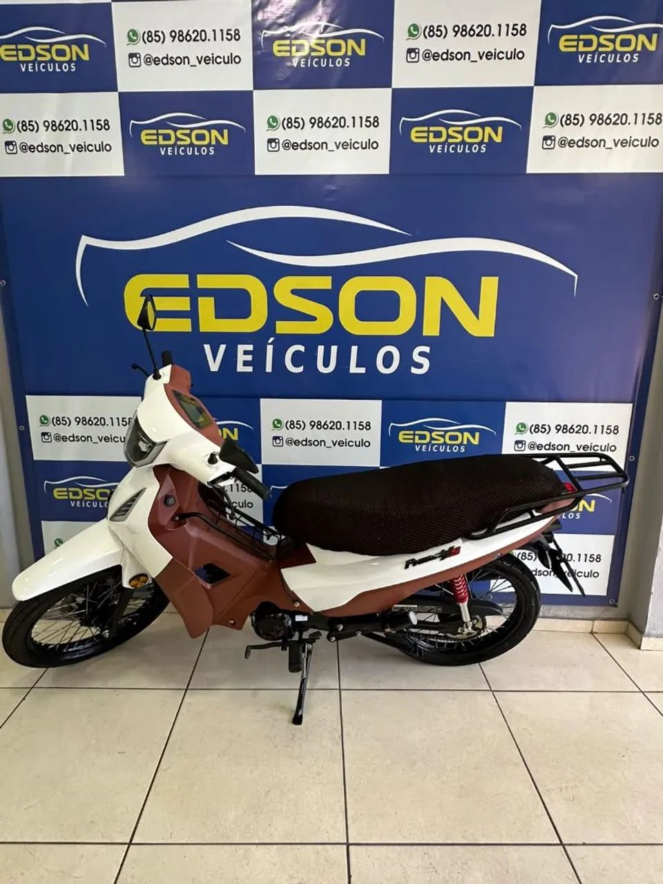Shineray 50Q 2026