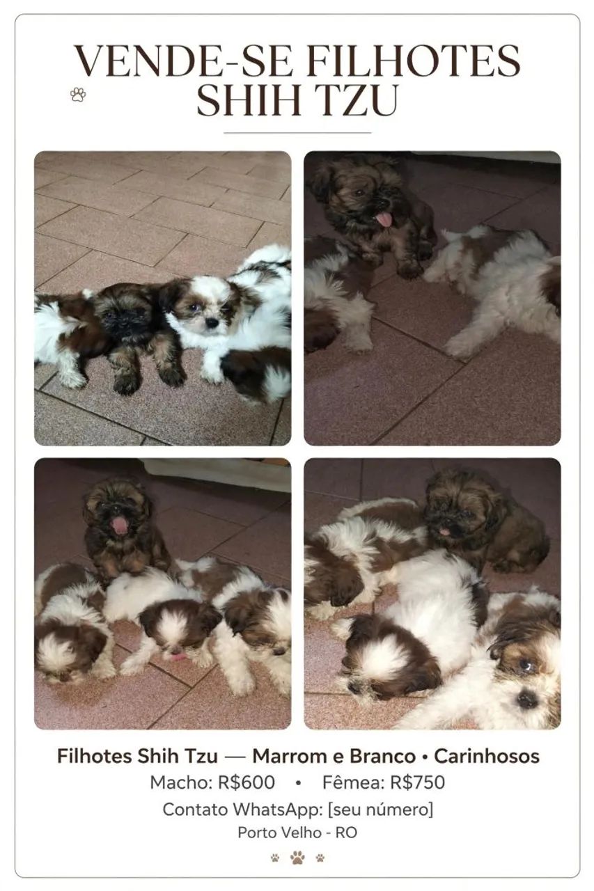 Cachorrinho