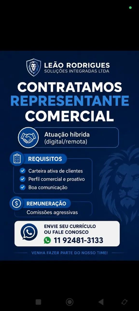 Representante comercial 