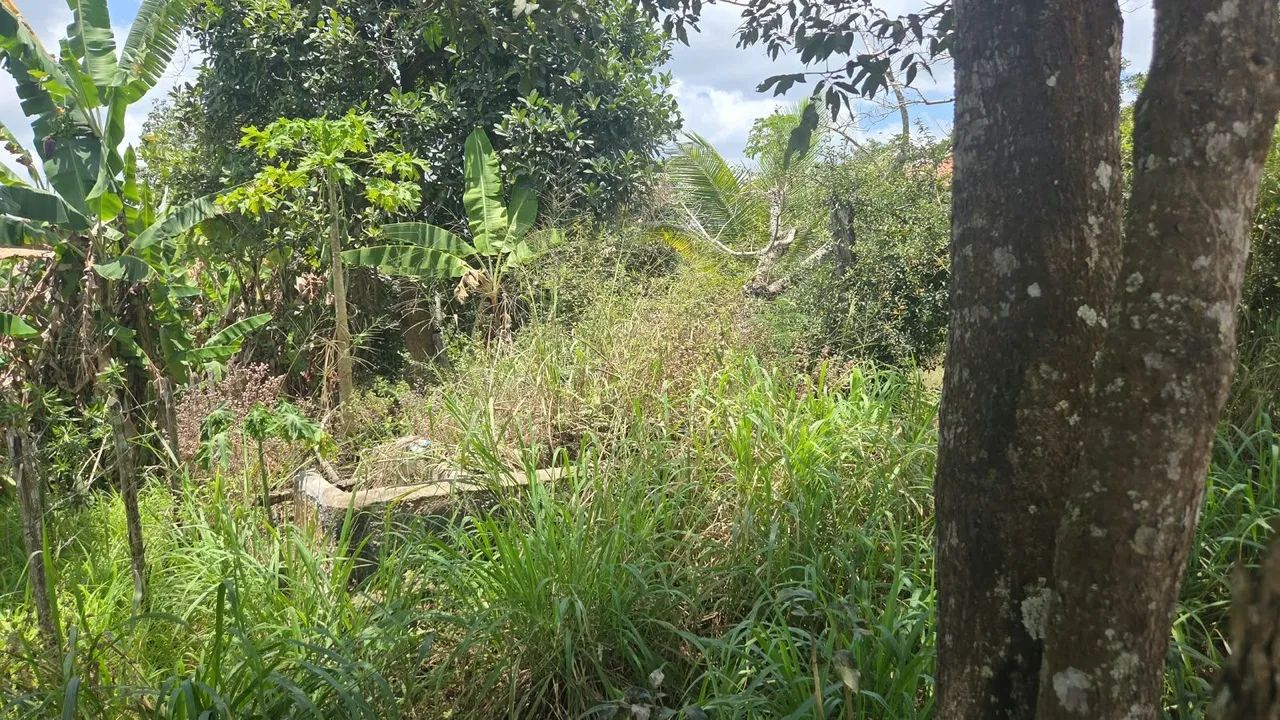 Sitio em Lagoa Seca com casa - Foto 3