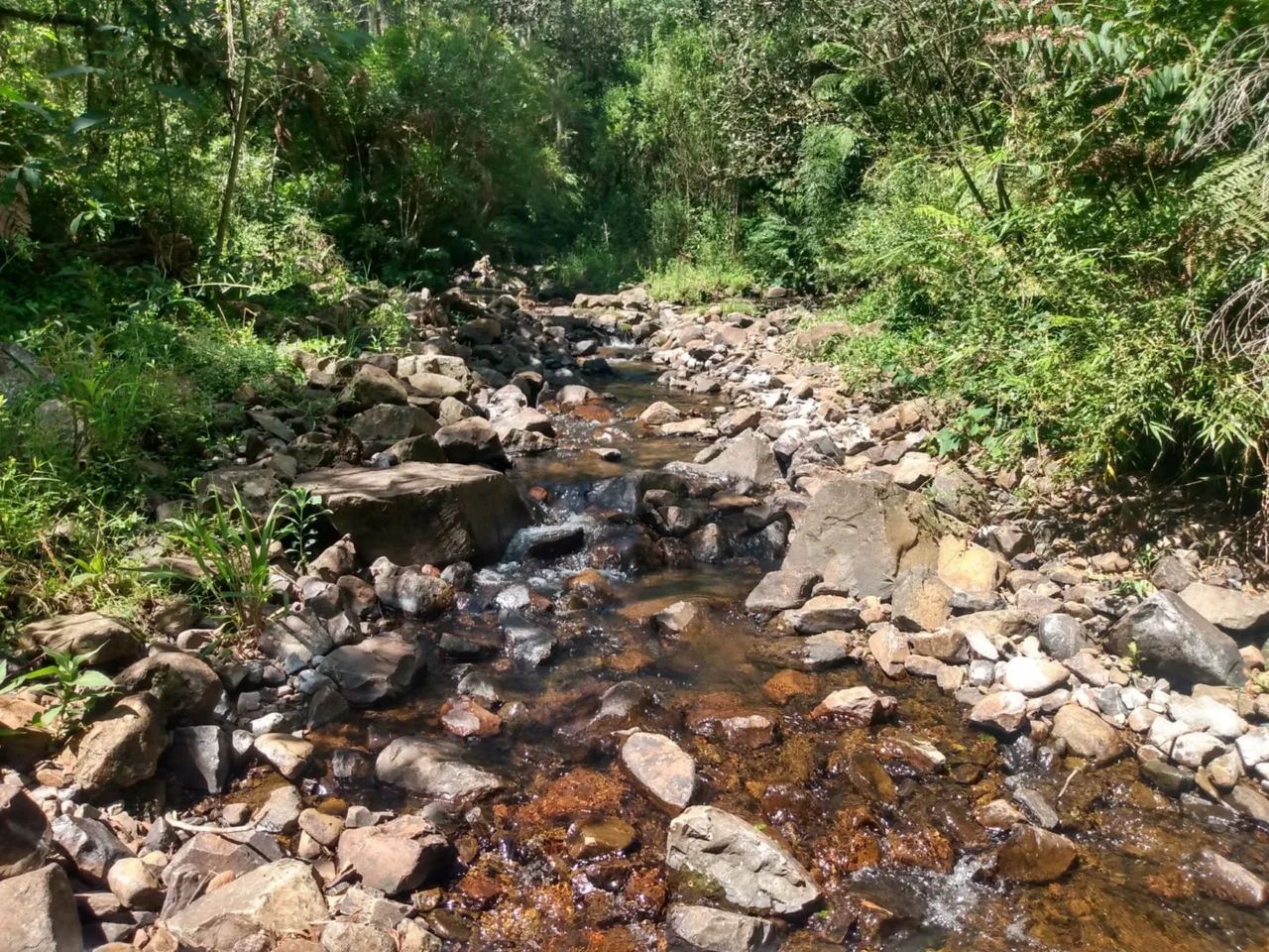 Terreno próximo a Serra do Rio do Rastro - Foto 5