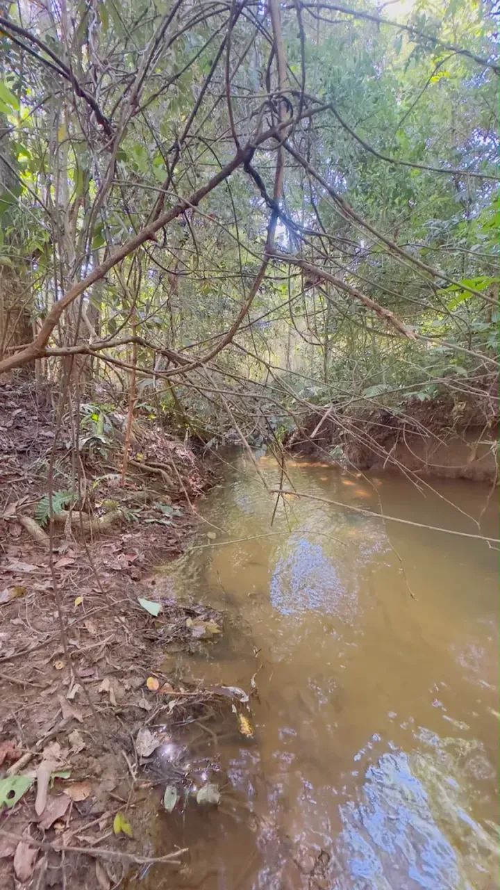 chácara Em Aragoiania Goias - Foto 4