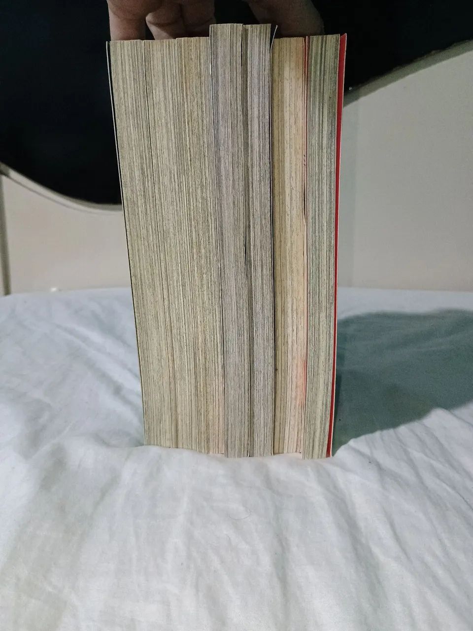 Mangás  - Foto 3