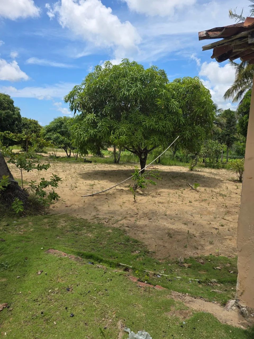 Vendo granja no conde. - Foto 5