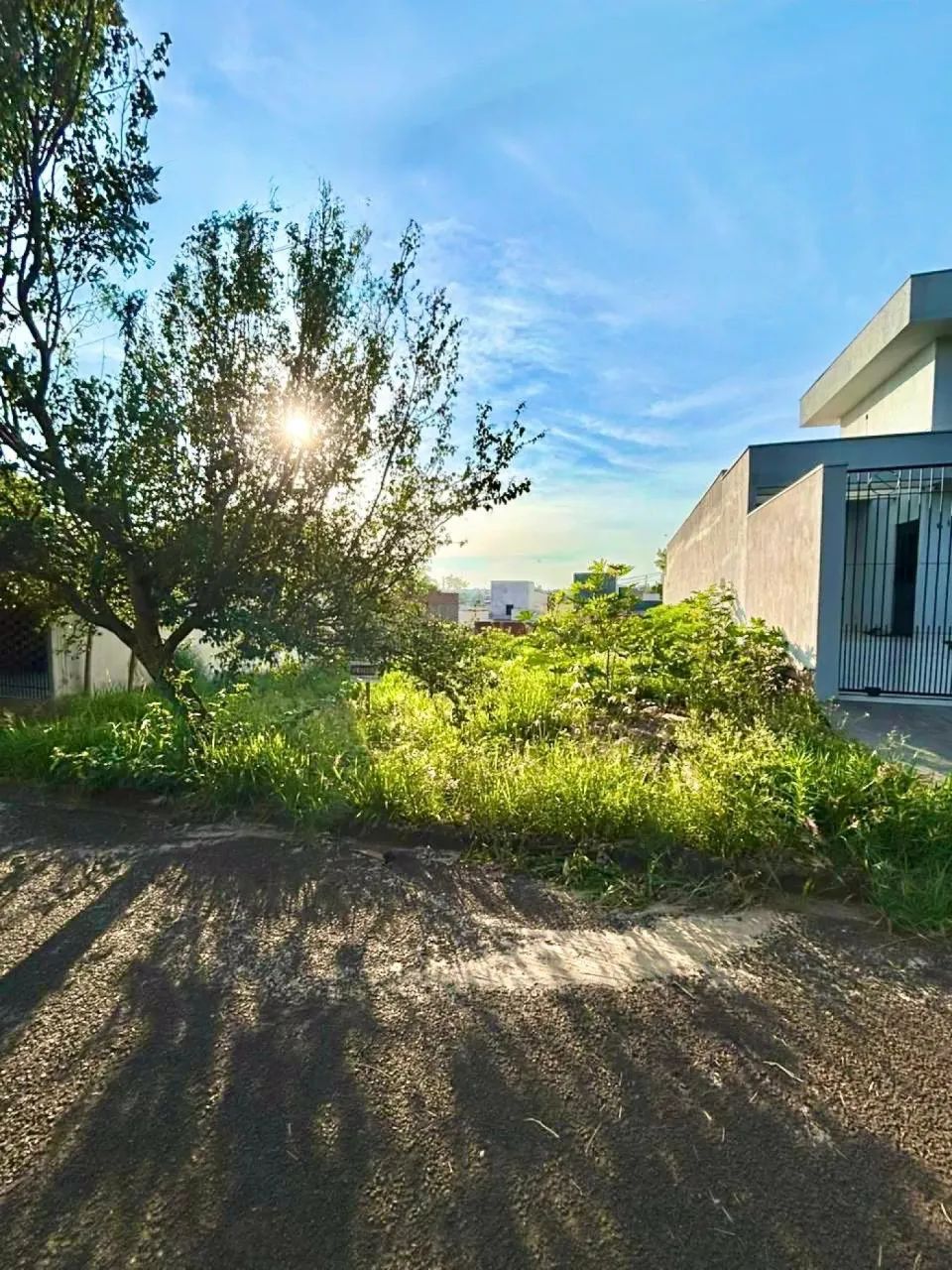 Terreno Padrão em Marialva - Foto 5