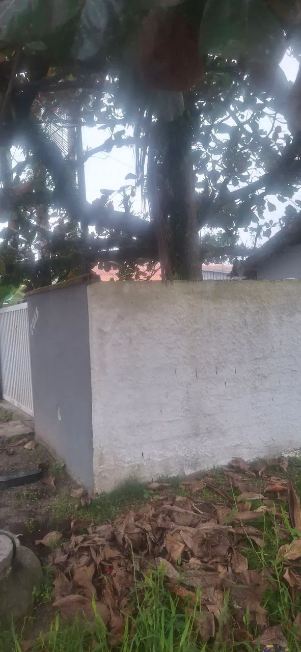 Terreno  - Foto 3