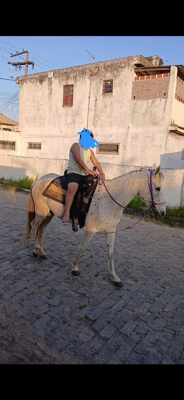 Vendo egua  - Foto 3