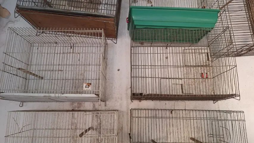 Gaiolas Usadas - Foto 4
