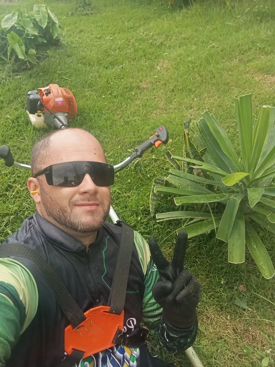 Limpeza de terrenos 