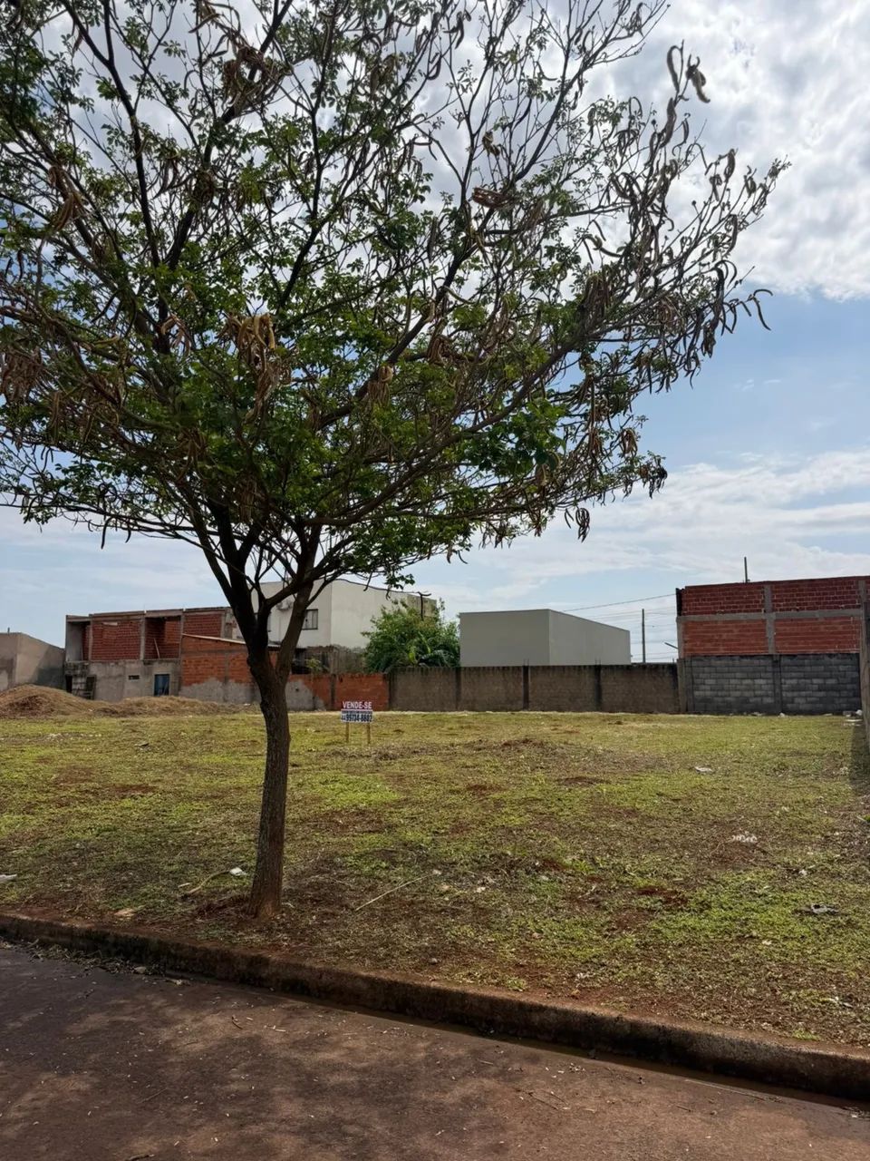 Terreno 252 m² - Parque Residencial Amélia - Palotina/PR - Foto 4