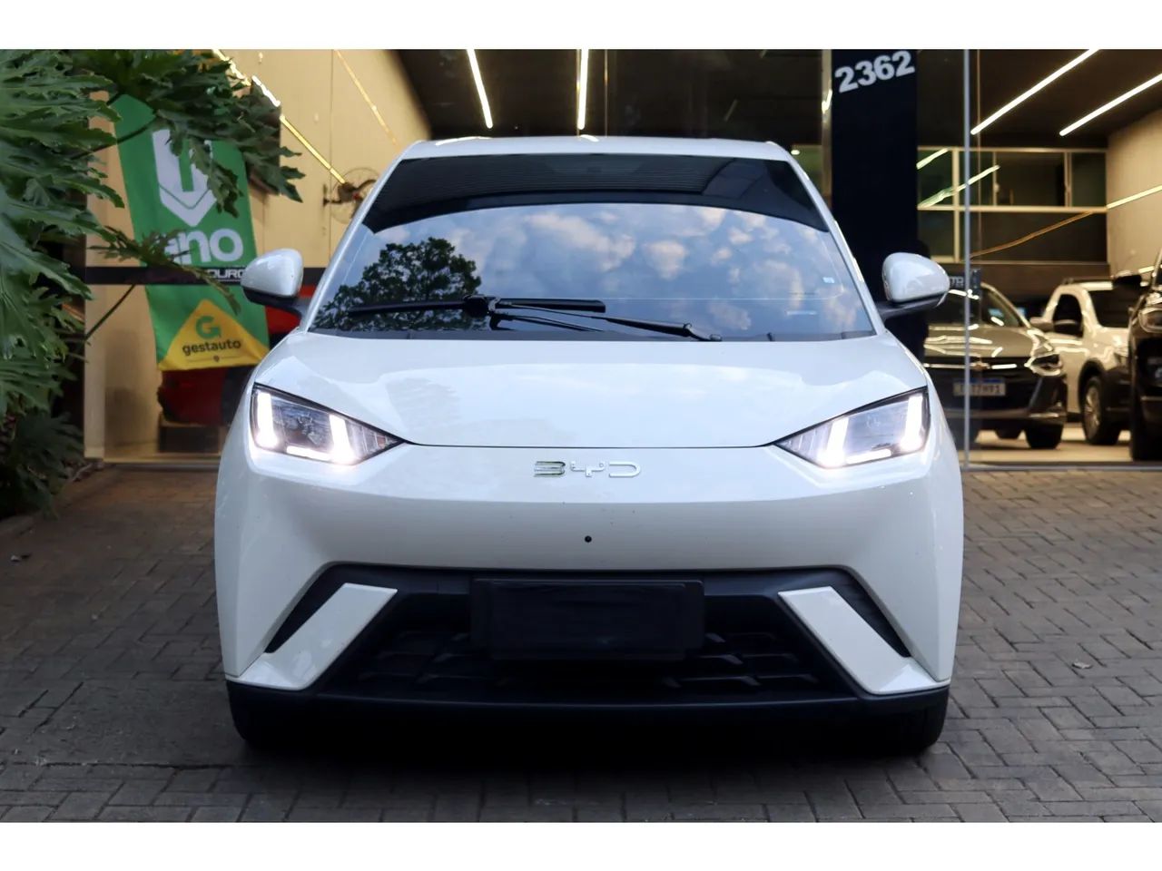 BYD Dolphin GS (Elétrico) 2027 - Foto 2