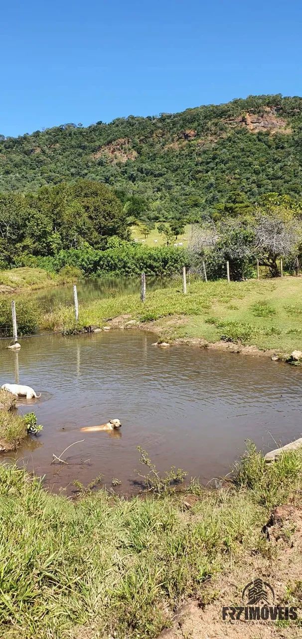 FAZENDA EM URUAÇU  GO - Foto 3