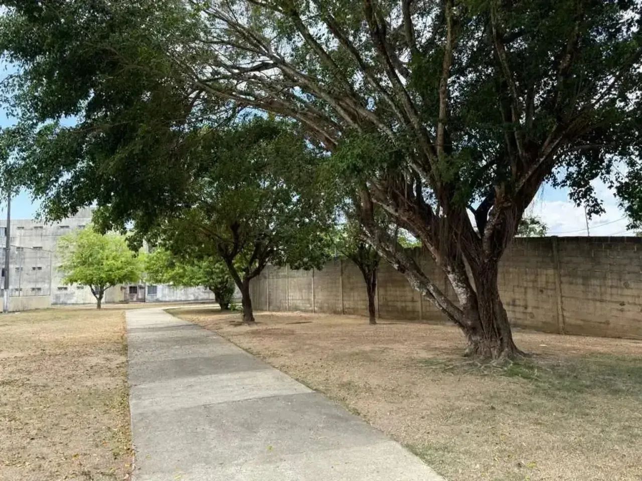 Apartamento Para Alugar - Foto 4