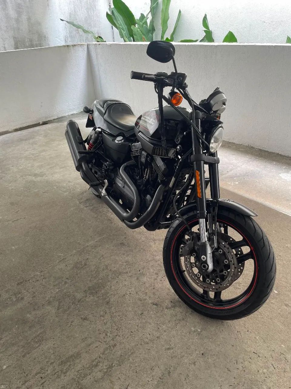  Harley Davidson sport 1200 