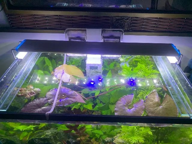 Aquário 50 litros - Foto 2