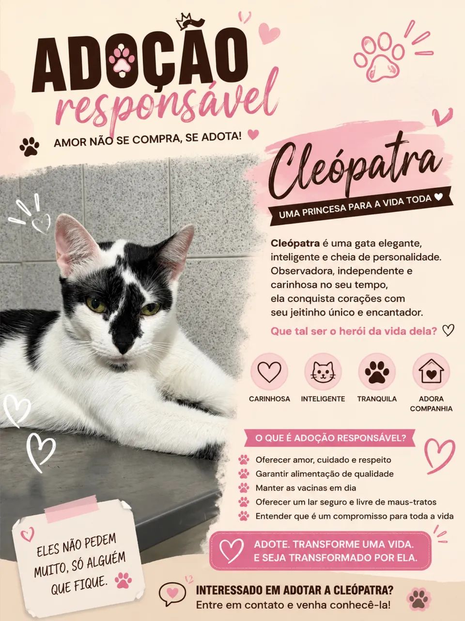 Adocao de 4 gatos lindos e doceis - Foto 3