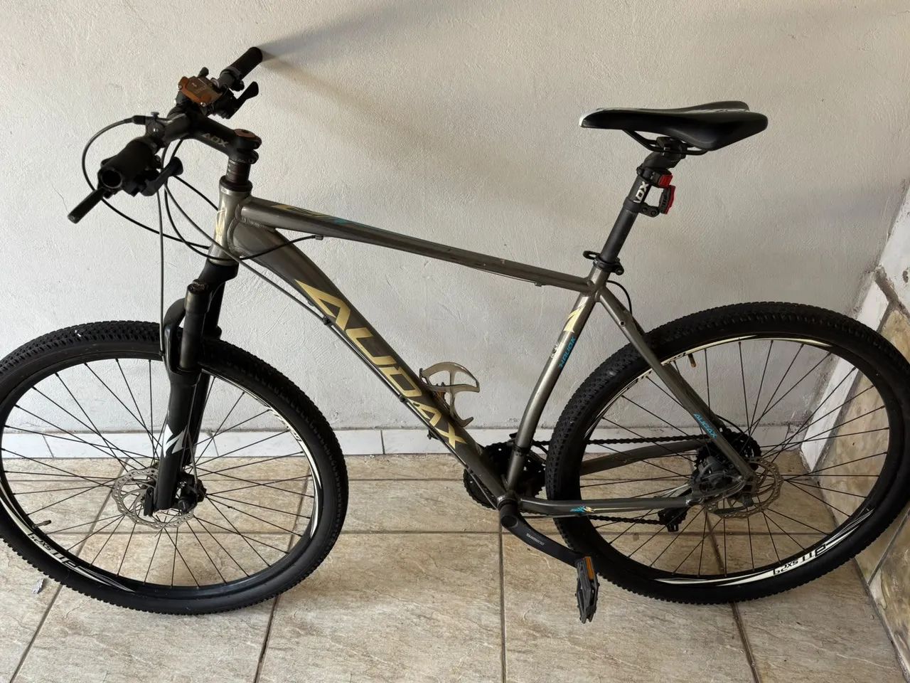Bicicleta Audax 