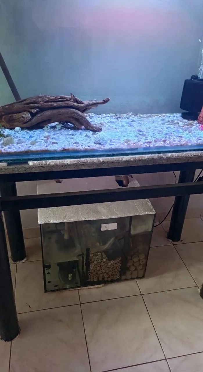 Aquário  - Foto 4